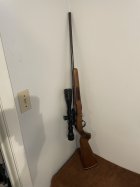 IMG_1329.jpeg