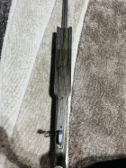 IMG_7504.jpeg