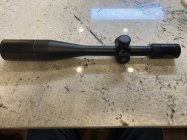 IMG_2195.jpeg