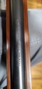 20231208_180620.jpg