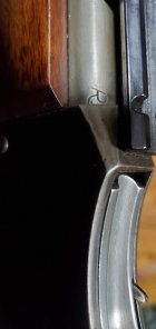 20231208_180629.jpg