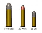 310Cadet_22WMR_22LR.jpg
