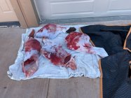 IMG_5120.jpeg