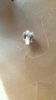 20151127_100508(1)_resized[1411].jpg