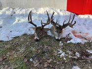 IMG_7626.jpeg