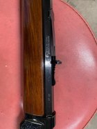 IMG_9164.jpeg