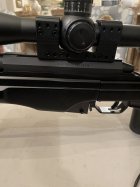 IMG_3067.jpeg