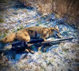 IMG_0497.jpeg