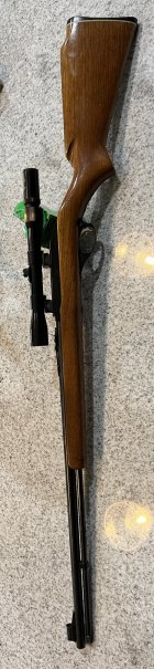IMG_5511.jpeg