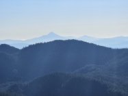 20231028_095013.jpg