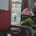 20231213_075458.jpg