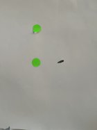 IMG_3940.jpeg