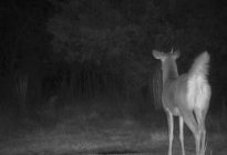 IMG_6311.jpeg