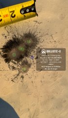 Ballistic-X-Export-2023-12-15 08:26:31.475273.jpg