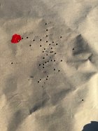 IMG_5224.jpeg