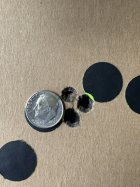 IMG_4584.jpeg