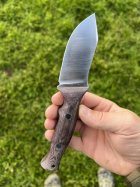 IMG_3298.jpeg