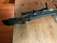 IMG_5213.jpeg