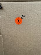 IMG_9970.jpeg