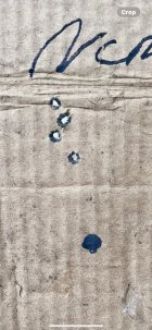 IMG_6557.jpeg