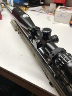IMG_1787.jpeg