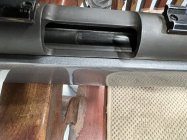 IMG_5537.jpeg