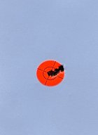 IMG_2027.jpeg