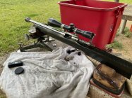 IMG_1039.jpeg