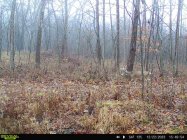 02e32325-93ba-4ef1-a38f-b29f8b8672d6.jpg