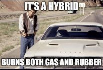 IMG_3645.jpeg