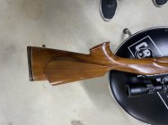IMG_9523.jpeg