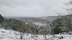 20231127_101713.jpg