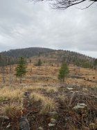 IMG_2190.jpeg