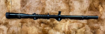 IMG_6198.jpeg