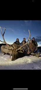 2023 elk Jeff.jpg