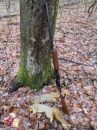 IMG_3326.jpeg