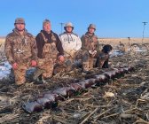 Austin's mallards.jpg