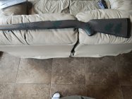 IMG_20231231_093959292.jpg