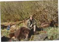 brownbear1 (3).jpg