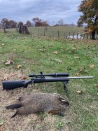 IMG_3456.jpeg