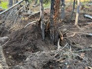 thumbnail_IMG_8707.jpg