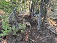 thumbnail_IMG_8706.jpg