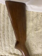 IMG_1335.jpeg