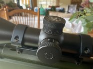 IMG_5274.jpeg