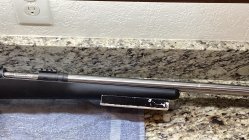 IMG_0124.jpeg