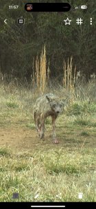 IMG_6471.jpeg
