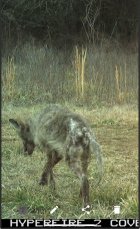 IMG_6472.jpeg