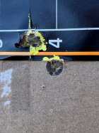 IMG_2054.jpeg