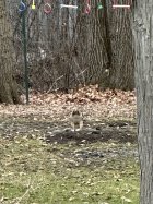 IMG_0854.jpg
