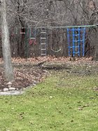 IMG_0862.jpg